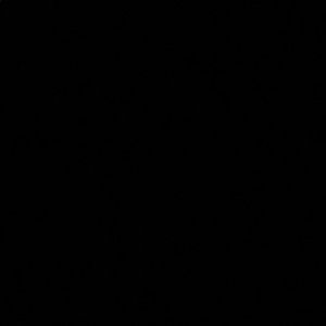 Meet your Posher, Breanna